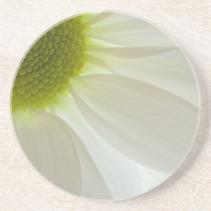 White Daisy Petals Untersetzer