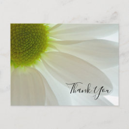 White Daisy Petals Vielen Dank Postkarte