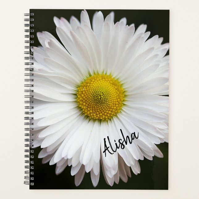 White Daisy Planer (Vorderseite)