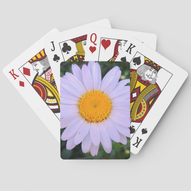White Daisy Playing Cards Spielkarten (Rückseite)