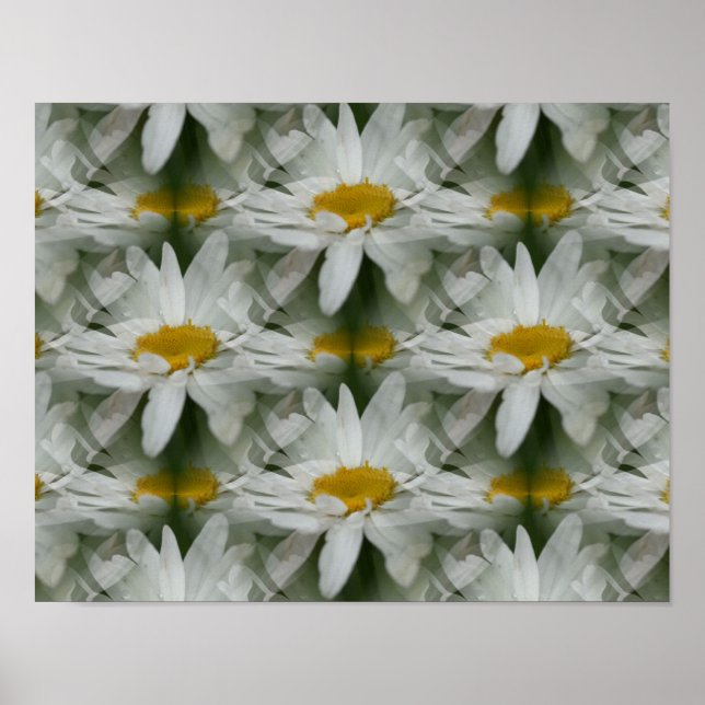 White Daisy Raindrops Blume Abstrakt Poster (Vorne)