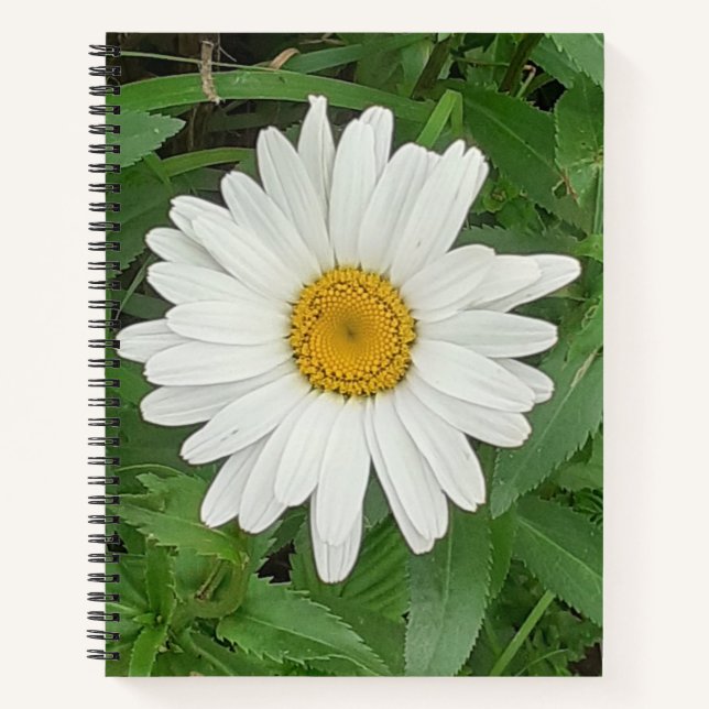 White Daisy Spiral Notebook Notizbuch (Vorderseite)