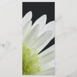 White Daisy über das Black Wedding Programm