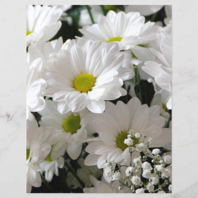 White Daisy und Baby Breath Scrapbook Paper (Vorderseite)