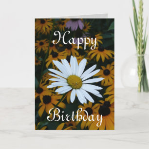 White Daisy und Blackeyed Susans Karte