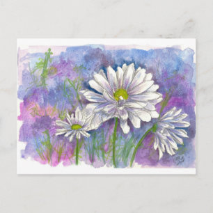 White Daisy Watercolor Blume Blau Postkarte