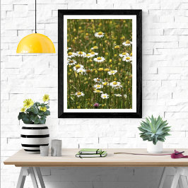 White Daisy Wildblumen Poster