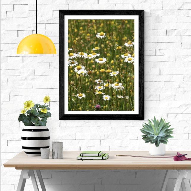 White Daisy Wildblumen Poster (Von Creator hochgeladen)