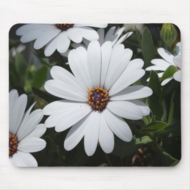 White Daisy's in Bloom Mousepad (Vorne)