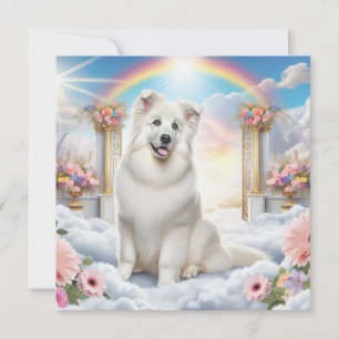 White Dog an der Rainbow Bridge im Paradies der Ku
