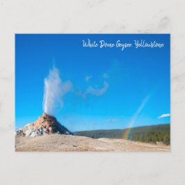 White Dome Geyser Eruption Yellowstone Postkarte
