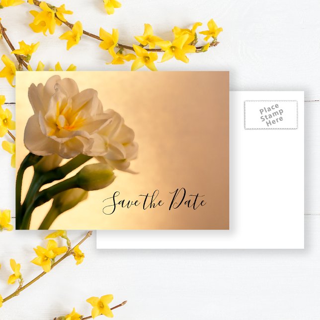 White Double Daffodil Spring Wedding Save the Date Ankündigungspostkarte (Von Creator hochgeladen)