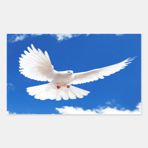 White Dove Bird Peace Liebe Flying Sky Rechteckiger Aufkleber