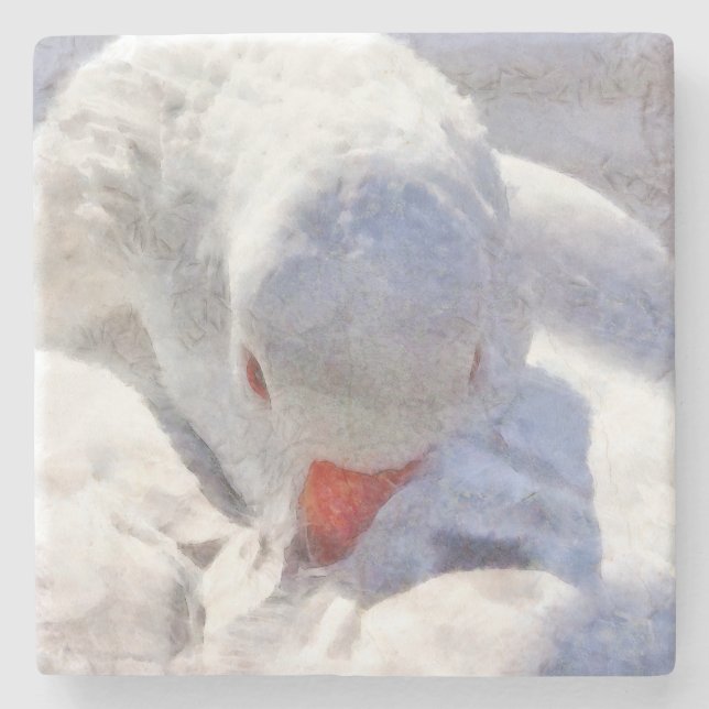 White Duck Preening Art Steinuntersetzer (Vorderseite)