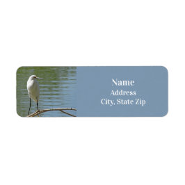White Egret Foto Birdwatcher Wild Bird Seeufer