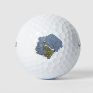 White Egret Foto Elegant Bird Calm Water Nature Golfball