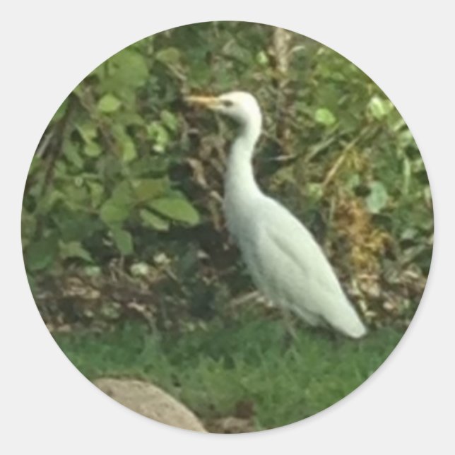 White Egret Runder Aufkleber (Vorderseite)