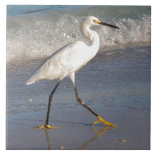 White Egret Tile Fliese