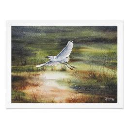 White Egret Watercolor Fotodruck