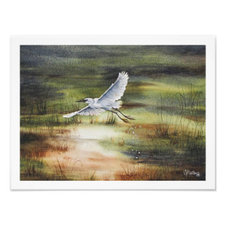 White Egret Watercolor Fotodruck