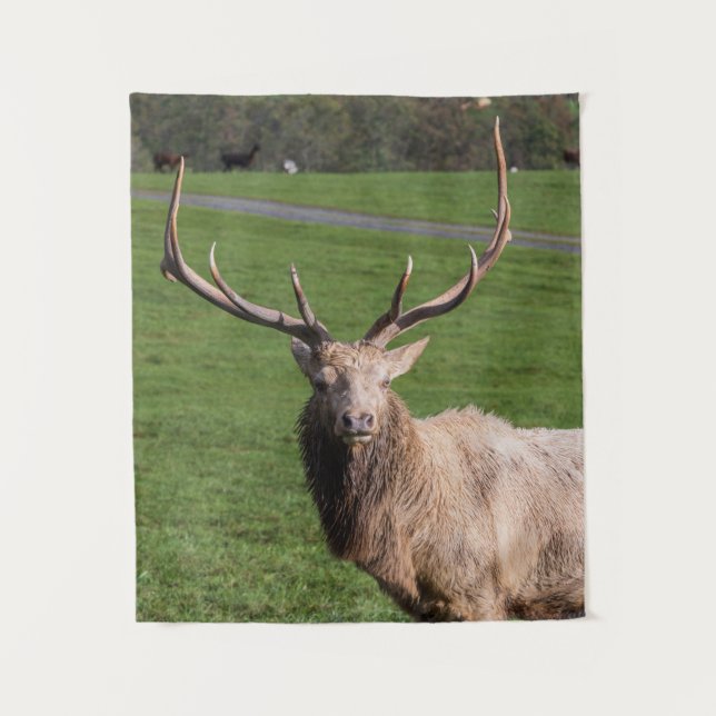 White Elk Tapestry Wandteppich (Vorderseite)