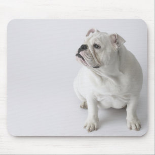 White English Bulldog Mousepad