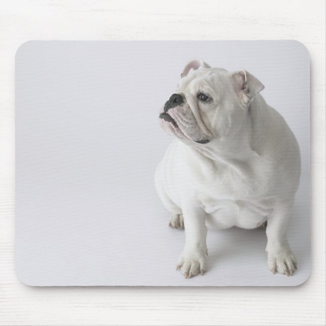White English Bulldog Mousepad (Vorne)