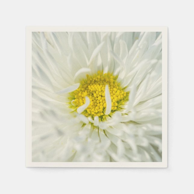 White English Daisy Blume Serviette (Vorderseite)