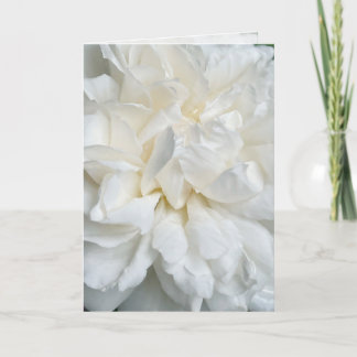 White English Rose Closing Hochzeitkarte Karte