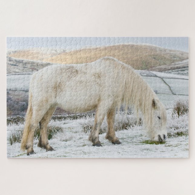 White Fell Pony auf Moorland im Winter Puzzle (Horizontal)