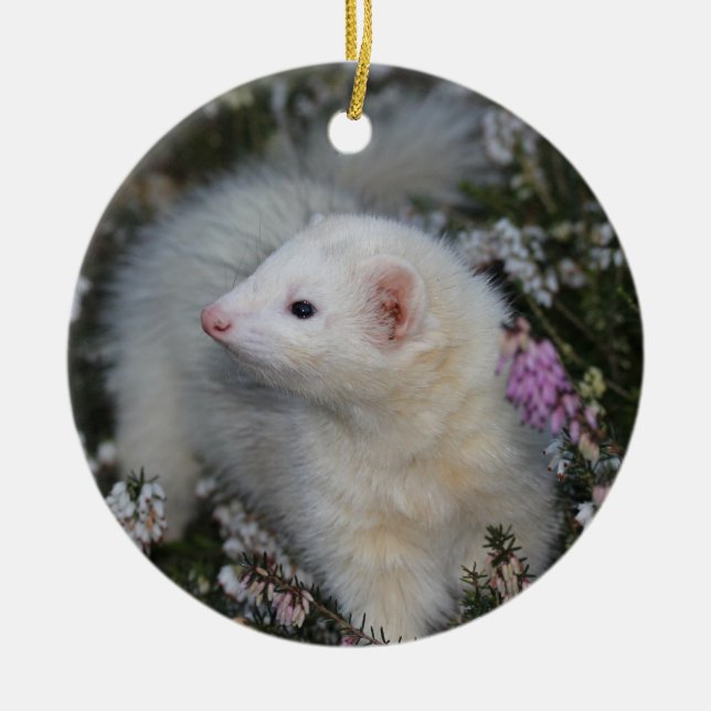 White Ferret in Blume Keramik Ornament (Vorne)