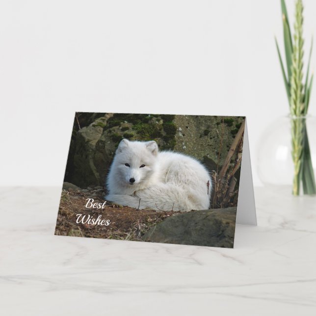 White Fox Foto Glückwunsch Hochzeitskarte Karte (Vorderseite)