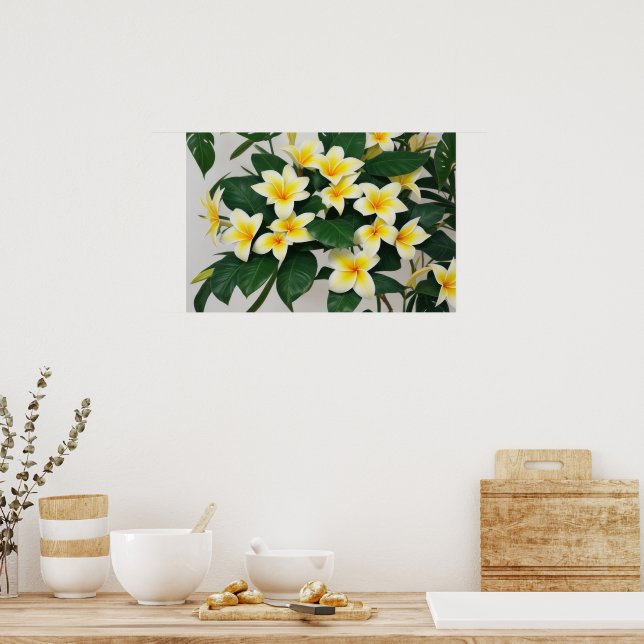 White Frangipani-Blume Poster (Küche)
