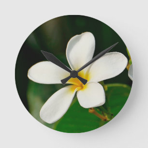 White Frangipani Runde Wanduhr