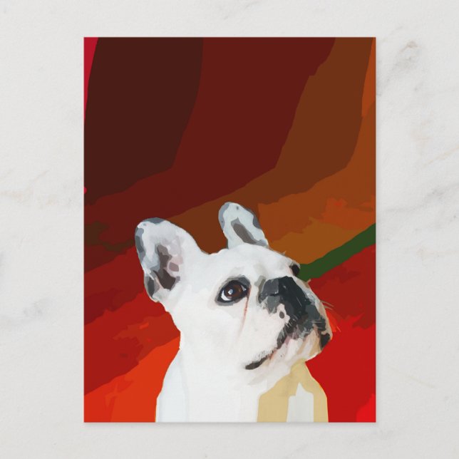 White French Bulldog Postkarte (Vorderseite)