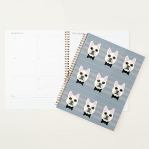 White French Bulldog, Streifen Planer