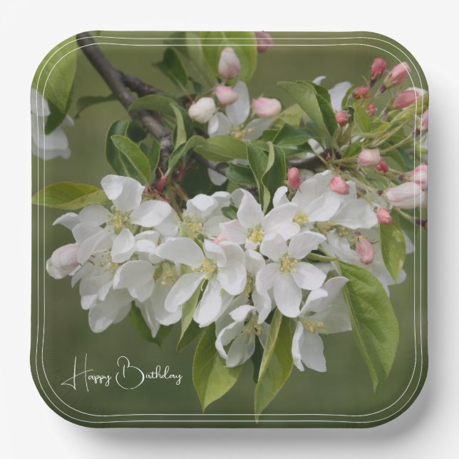 White Fruit Blossom Square Pappteller (Vorderseite)