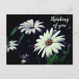White Garden Blume Denken Sie an Sie Postkarte