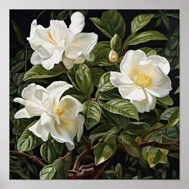 White Gardenias Blume Art Print Poster (Vorne)