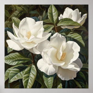 White Gardenias Blume Art Print Poster