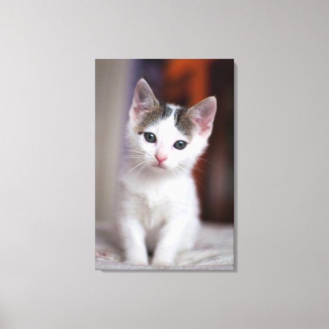 White Gepunktet Kitty Leinwanddruck (Vorderseite)