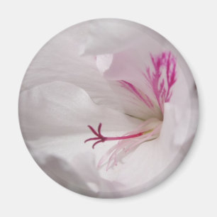 White Geranium Magnet