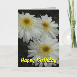 White Gerber Daisy Happy Birthday Karte