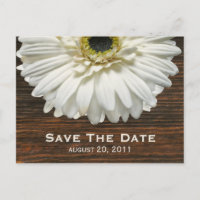 White Gerbera & Barnwood Save the Date Postcard