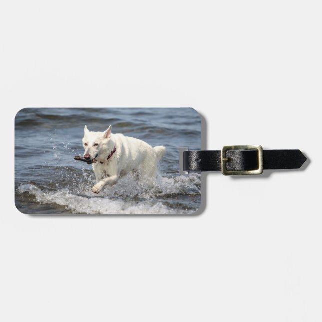 White German Shepard am George Lake Gepäckanhänger (Vorderseite horizontal)