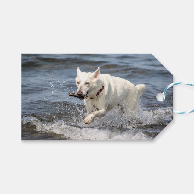White German Shepard am George Lake Geschenkanhänger (Vorderseite (Horizontal))