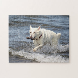 White German Shepard am George Lake Puzzle