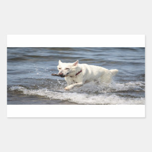 White German Shepard am George Lake Rechteckiger Aufkleber