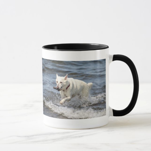White German Shepard am George Lake Tasse (Rechts)