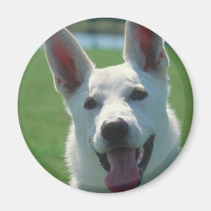 White German Shepherd Dog Magnet